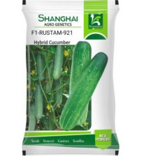 Cucumber Rustam 921 25 grams